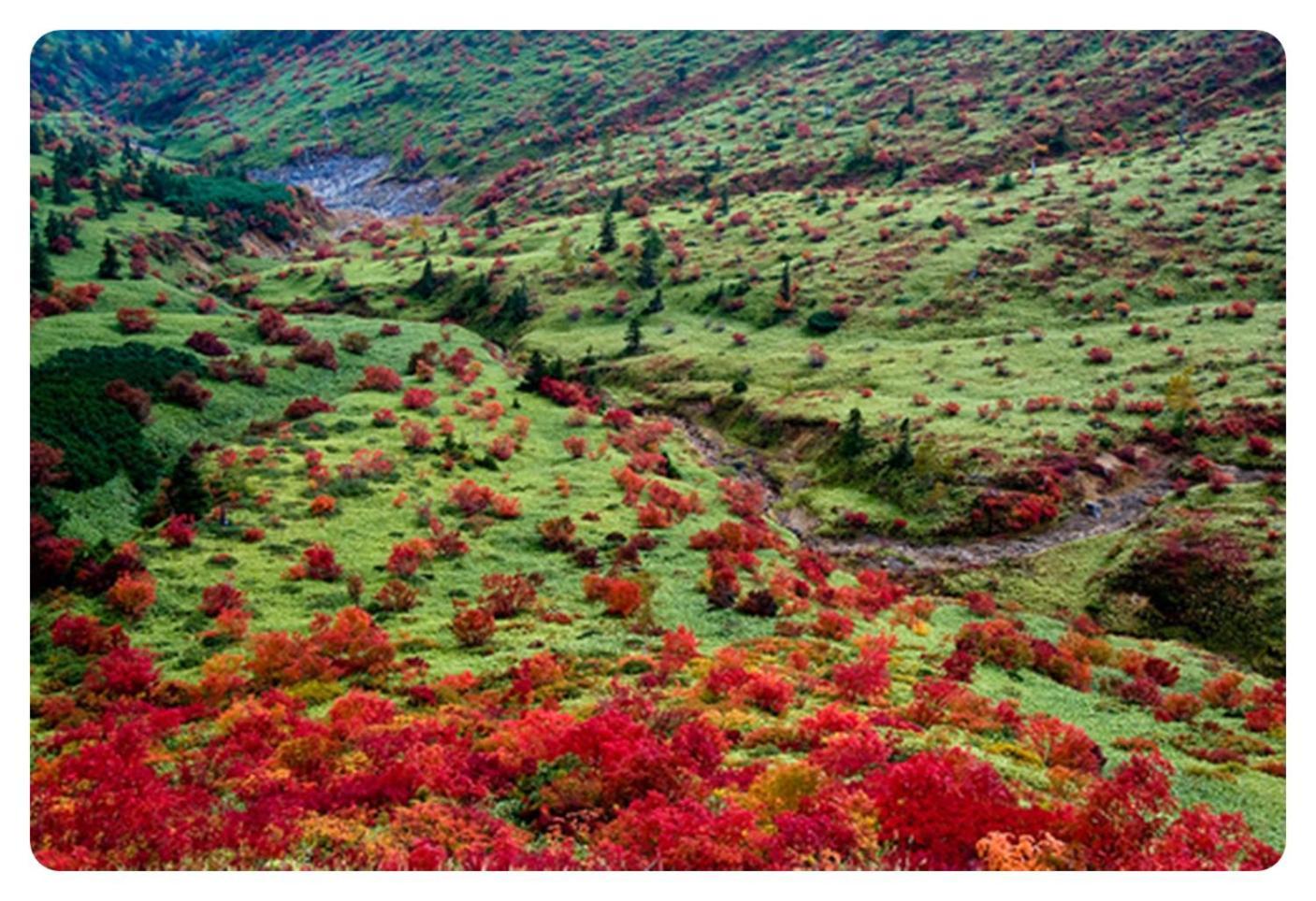 Shiga Kogen Hotel Shiga Sunvalley Яманути Экстерьер фото